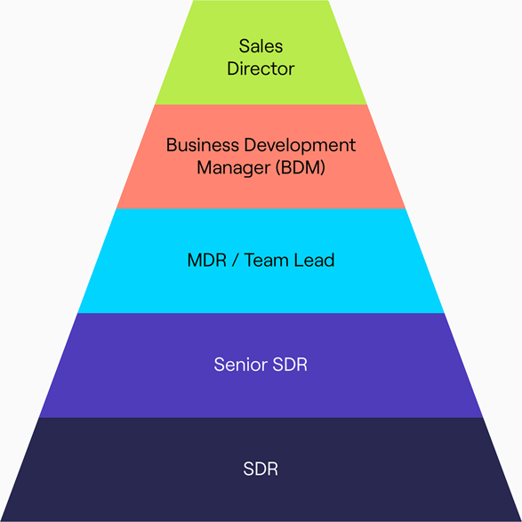 sales org chart infographic